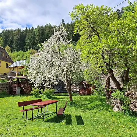 House Vedle Desna (Liberec)